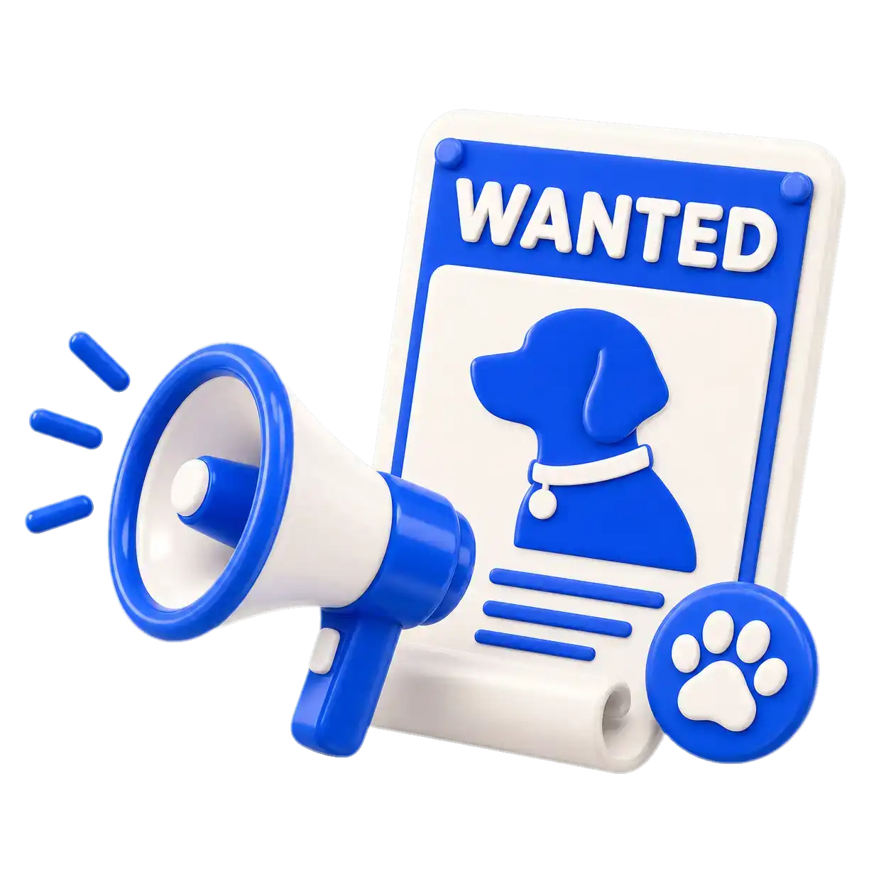 Lost & Found + Wanted